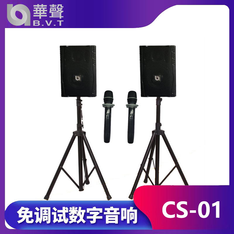 CS-01 免調(diào)試數(shù)字音響系統(tǒng)